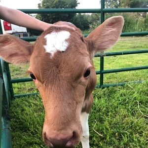 Meet your Posher, Erin